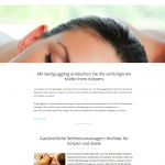 Projektvorstellung wellness-center.org
